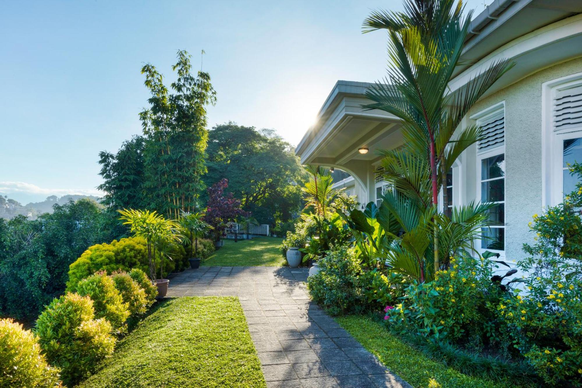 קנדי Castle Hill Bungalow מראה חיצוני תמונה